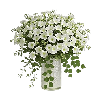 Ivory Blossom Radiance