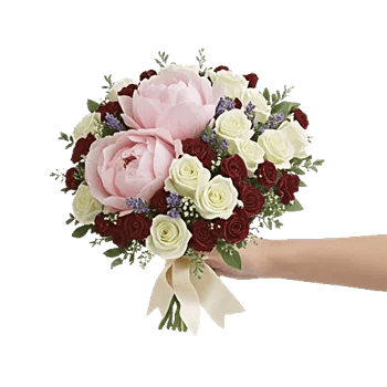 Peony Petal Harmony
