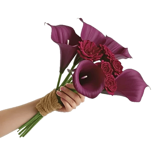 Elegant Calla Lilies