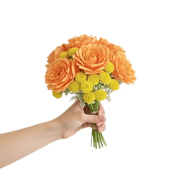 Blossom Grace Spread