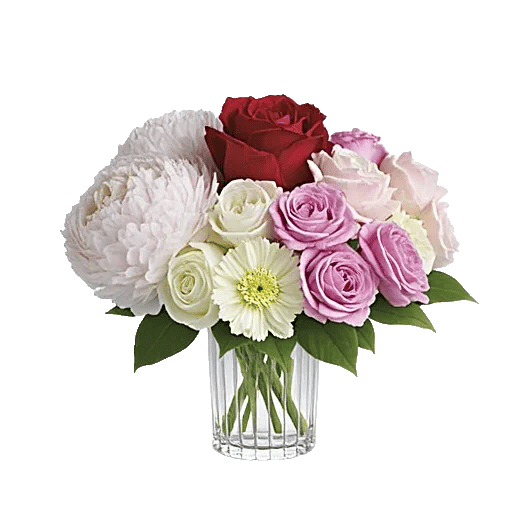 Crimson Rose Elegance