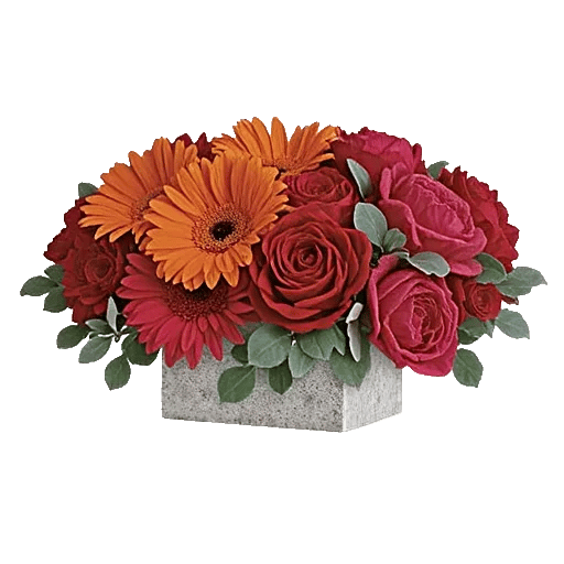 Petal Radiance Bliss