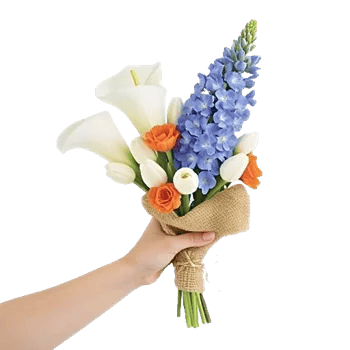 Elegant Calla Lilies