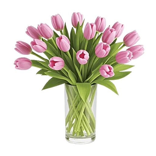 Velvet Tulip Display