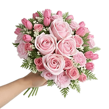 Pastel Pink Roses