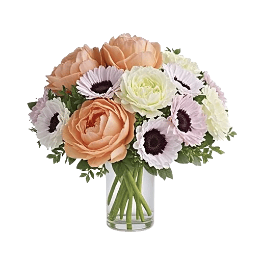 Petal Radiance Bliss