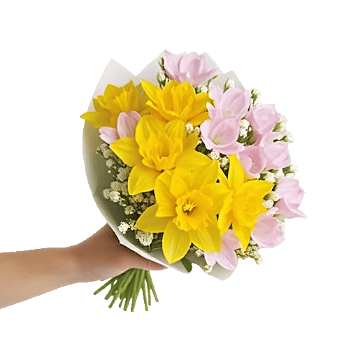 Blossom Harmony Display