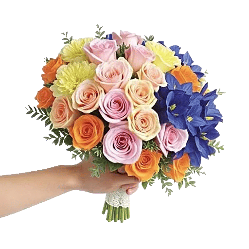 Blushing Rose Symphony