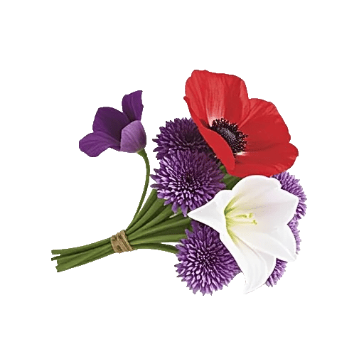 Ivory Blossom Radiance