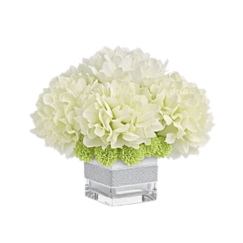 Ivory Blossom Radiance