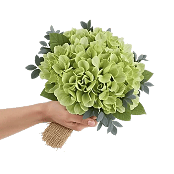 Serene Petal Harmony