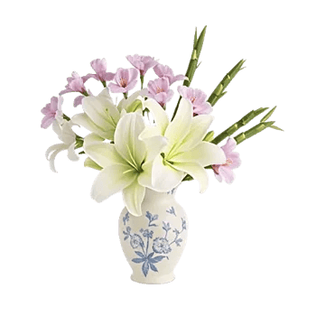 Ivory Blossom Radiance