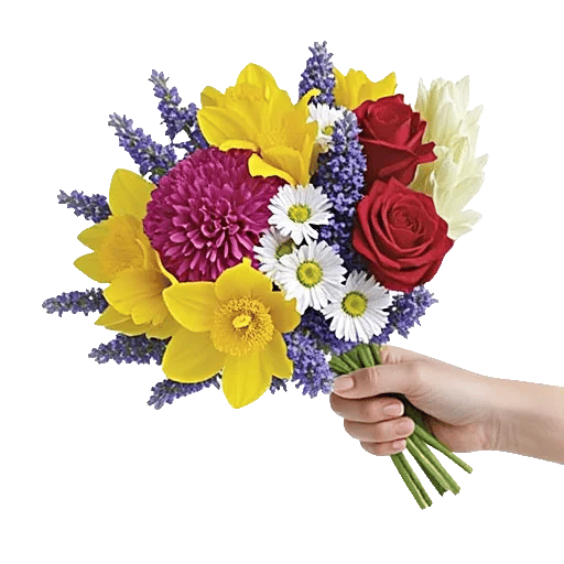 Petal Harmony Bliss