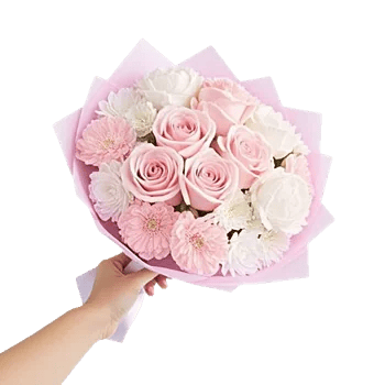 Pastel Pink Roses