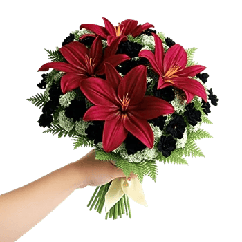 Crimson Lily Glow