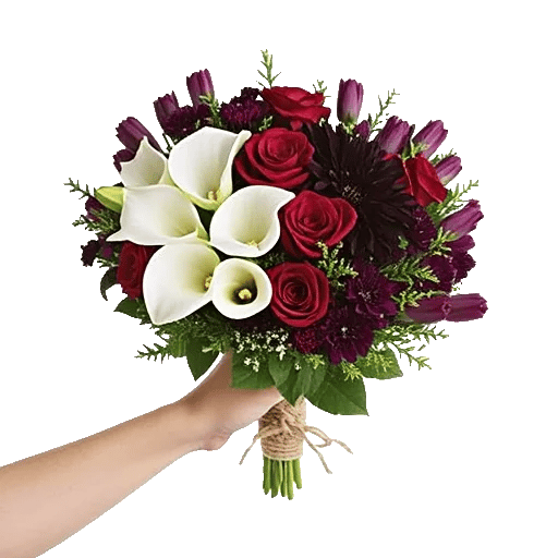 Elegant Calla Lilies