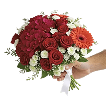 Petal Harmony Bliss