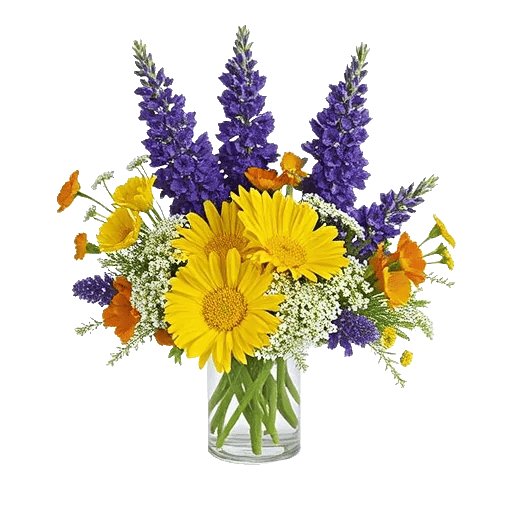 Petal Radiance Bliss