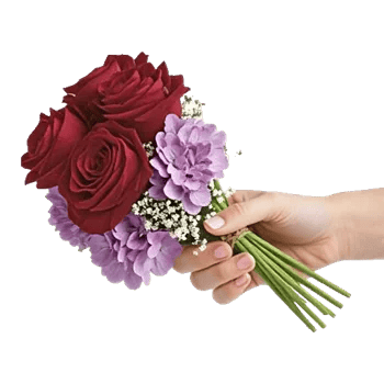 Crimson Rose Elegance