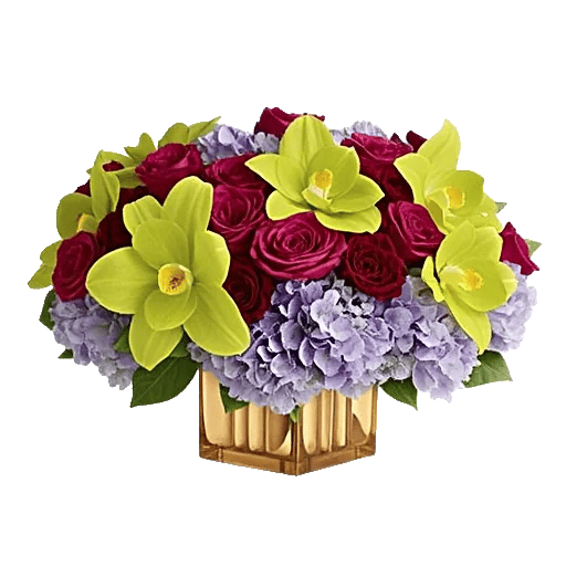 Orchid Bloom Cascade