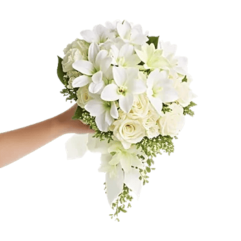 Orchid Bloom Cascade