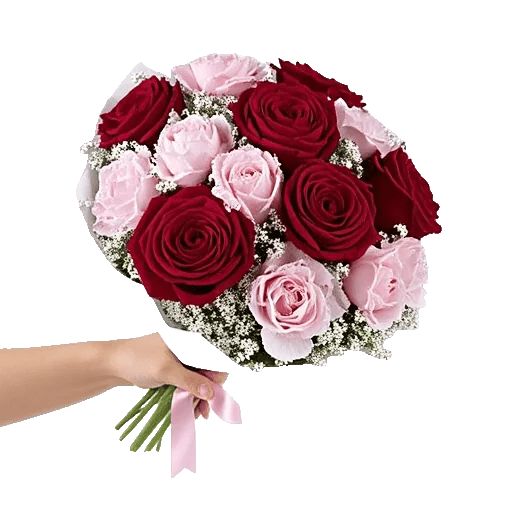 Crimson Rose Elegance