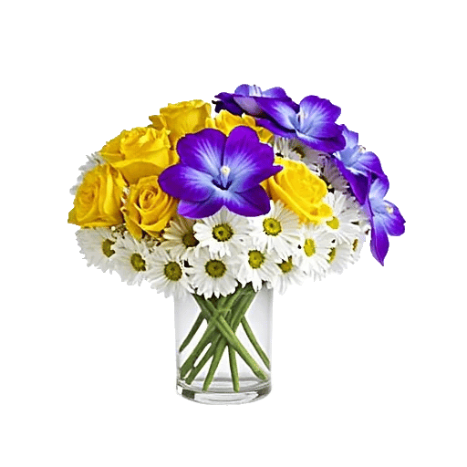 Radiant Bloom Cascade