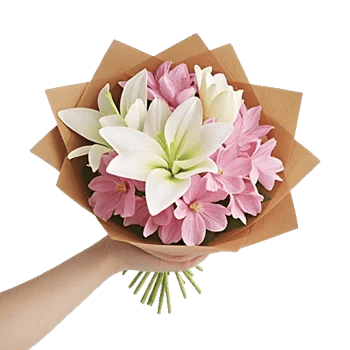 Blossom Harmony Display