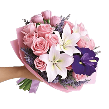 Blushing Rose Symphony