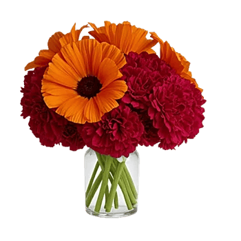 Petal Radiance Bliss