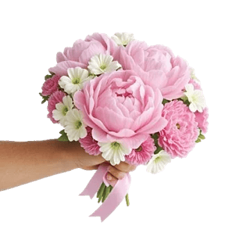 Peony Petal Harmony