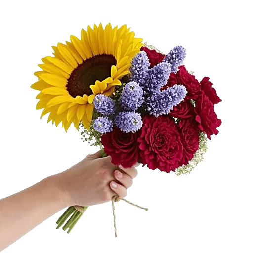 Twinkling Sunflower Dance