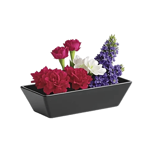 Delicate Petal Cascade