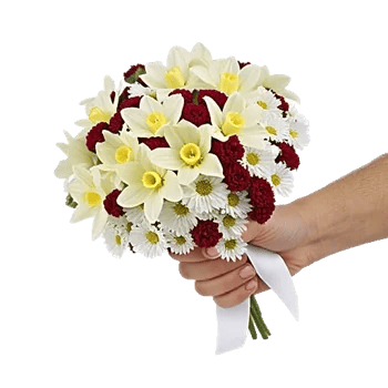 Blossom Harmony Display