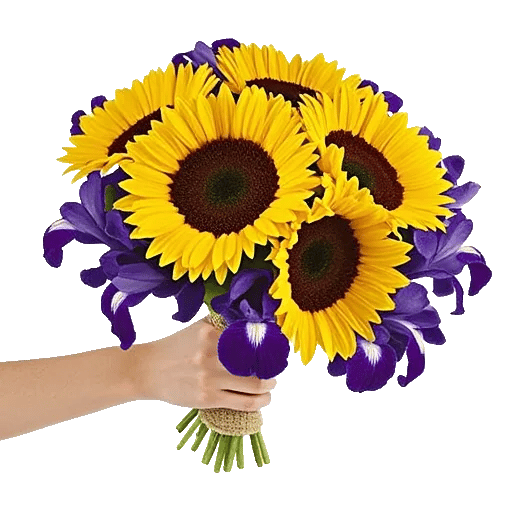 Amber Sunflower Glow