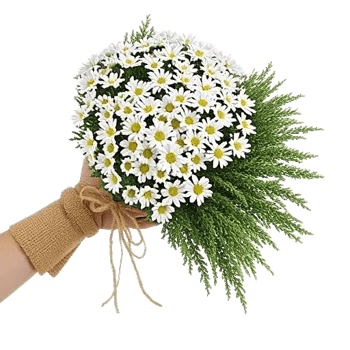 Delicate Petal Cascade