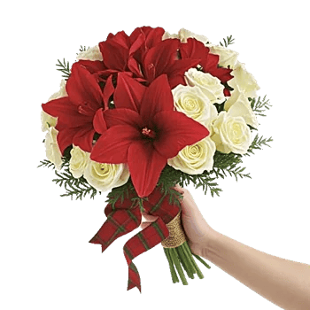 Crimson Blossom Harmony