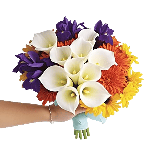 Elegant Calla Lilies