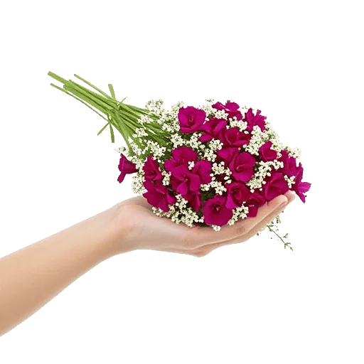 Delicate Petal Cascade