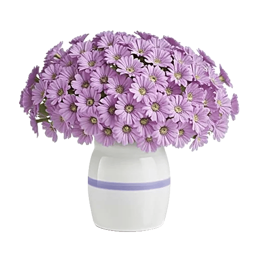 Lavender Bloom Grace