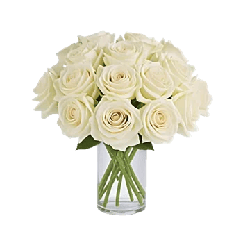 Ivory Blossom Radiance