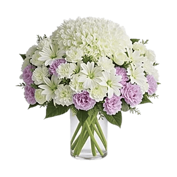 Modern White Orchids