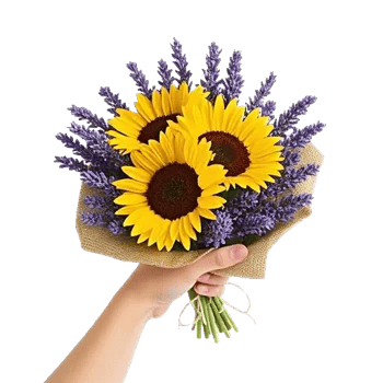 Twinkling Sunflower Dance