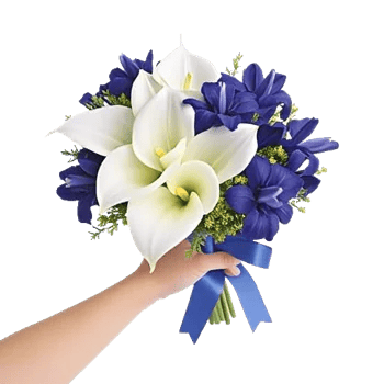 Elegant Calla Lilies