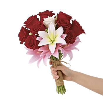 Crimson Rose Elegance