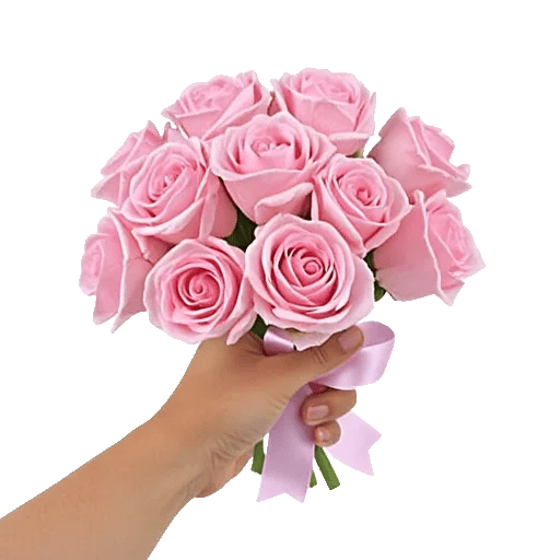 Pastel Pink Roses