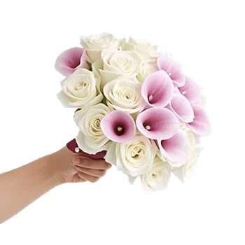 Elegant Calla Lilies