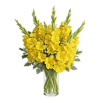 Radiant Bloom Cascade