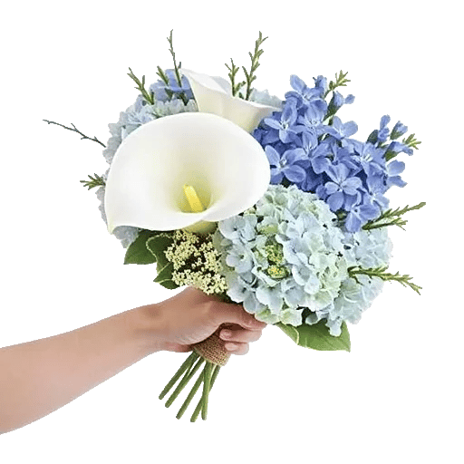 Elegant Calla Lilies