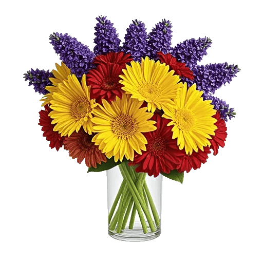 Petal Radiance Bliss